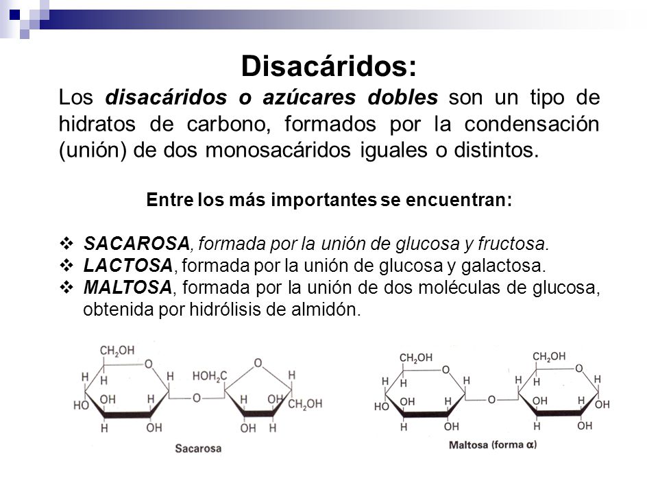 Entre los más importantes se encuentran: