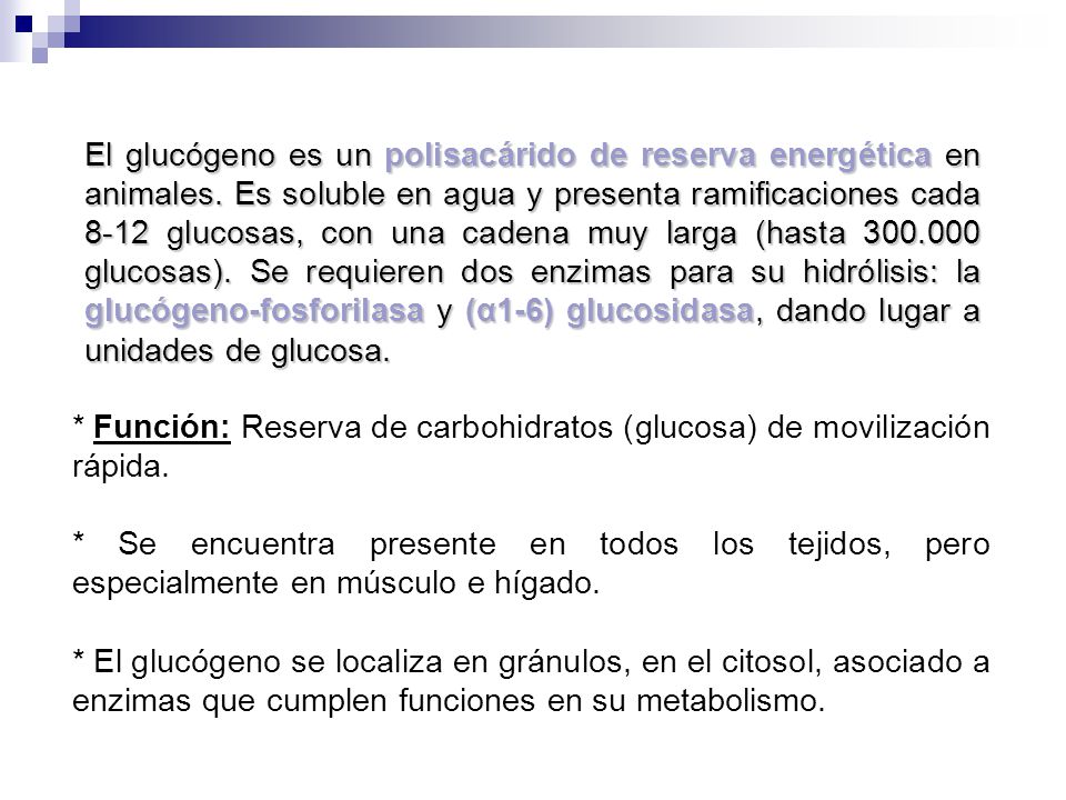 El glucógeno es un polisacárido de reserva energética en animales