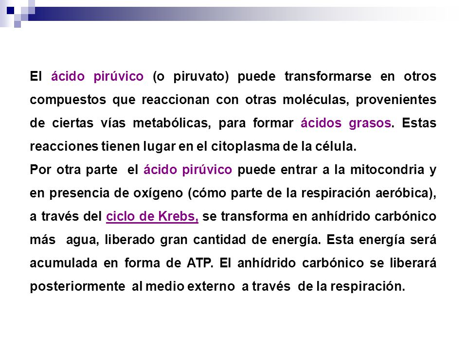 El ácido pirúvico (o piruvato) puede transformarse en otros compuestos que reaccionan con otras moléculas, provenientes de ciertas vías metabólicas, para formar ácidos grasos. Estas reacciones tienen lugar en el citoplasma de la célula.