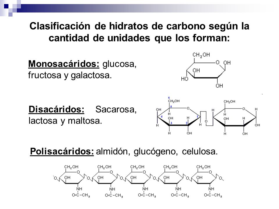 Clasificación de hidratos de carbono según la cantidad de unidades que los forman: