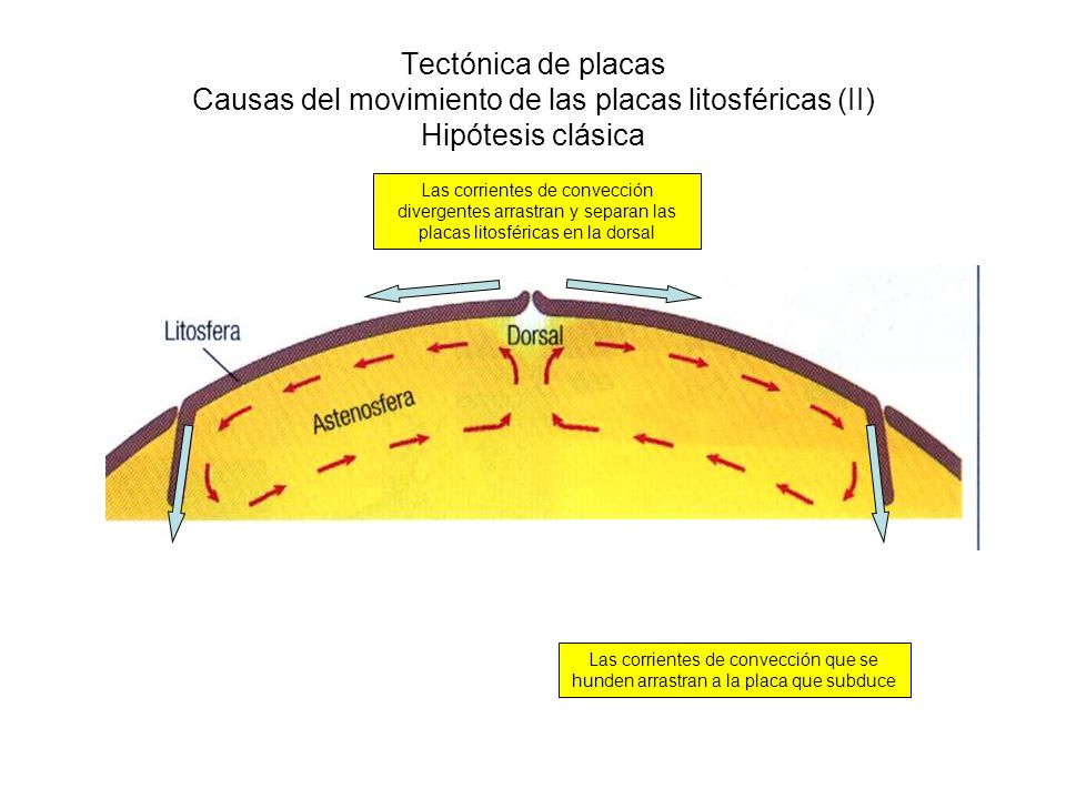 Tectónica de placas Causas del movimiento de las placas litosféricas (II) Hipótesis clásica