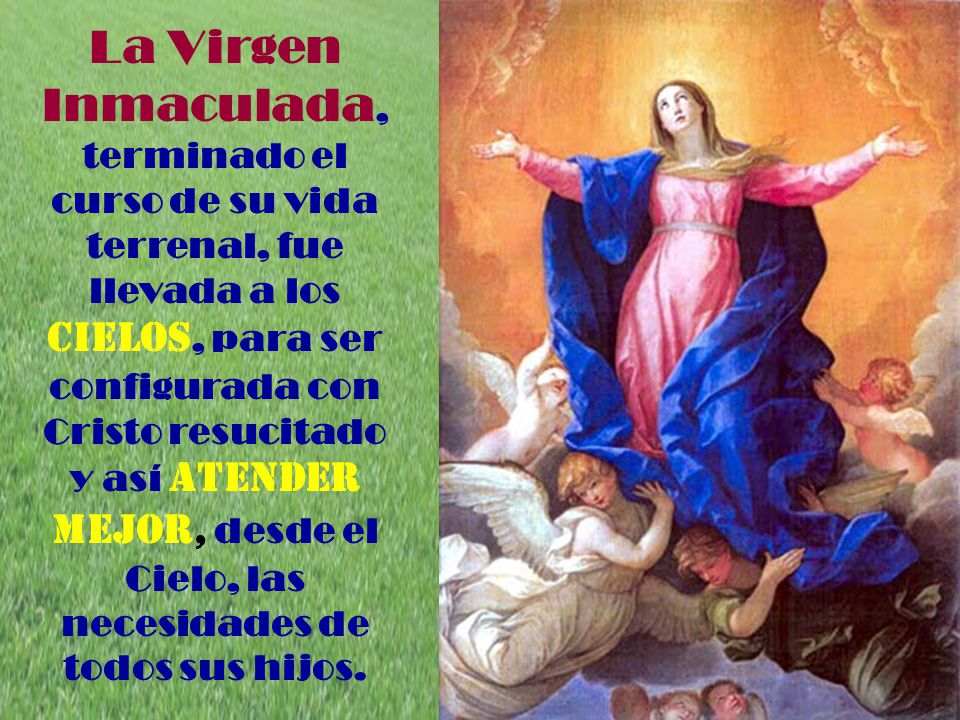 La Virgen Inmaculada, terminado el curso de su vida terrenal, fue llevada a los Cielos, para ser configurada con Cristo resucitado y así atender mejor, desde el Cielo, las necesidades de todos sus hijos.