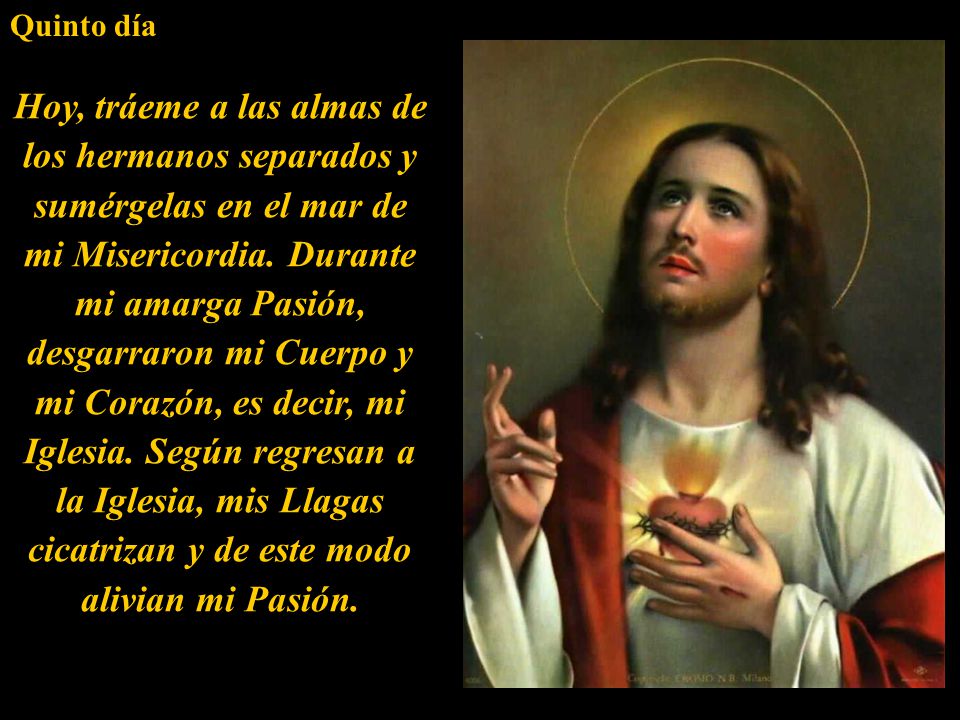Quinto día