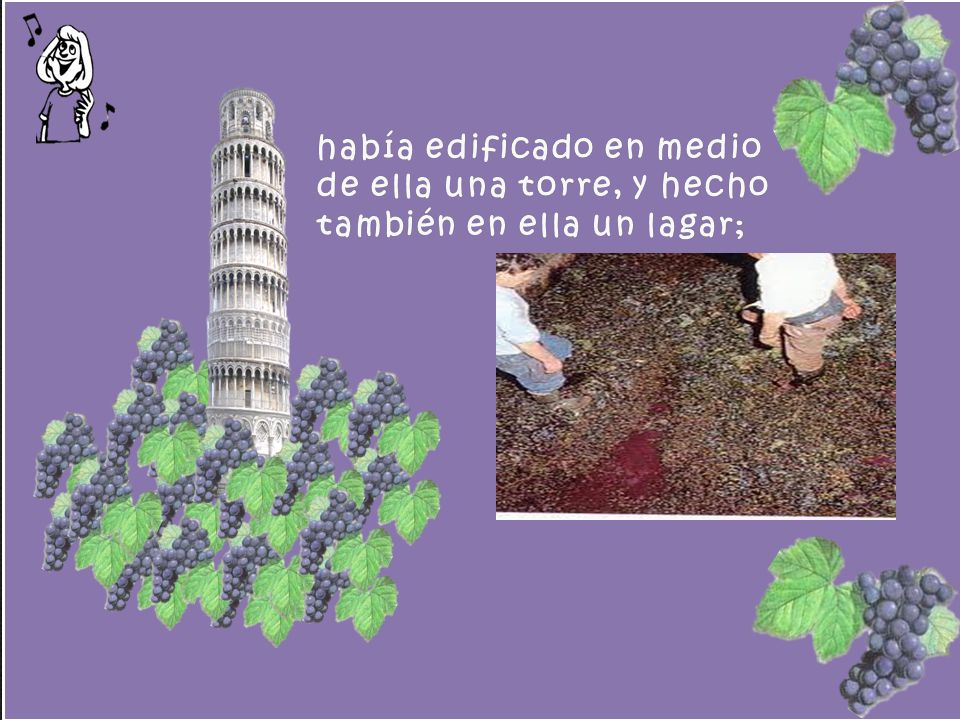 había edificado en medio de ella una torre, y hecho también en ella un lagar;