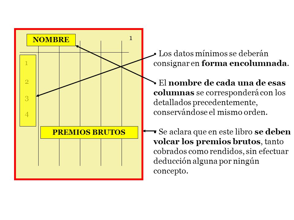 Los datos mínimos se deberán consignar en forma encolumnada.
