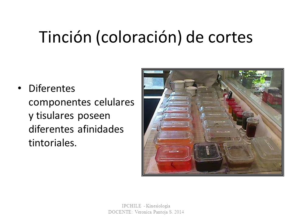 Tinción (coloración) de cortes
