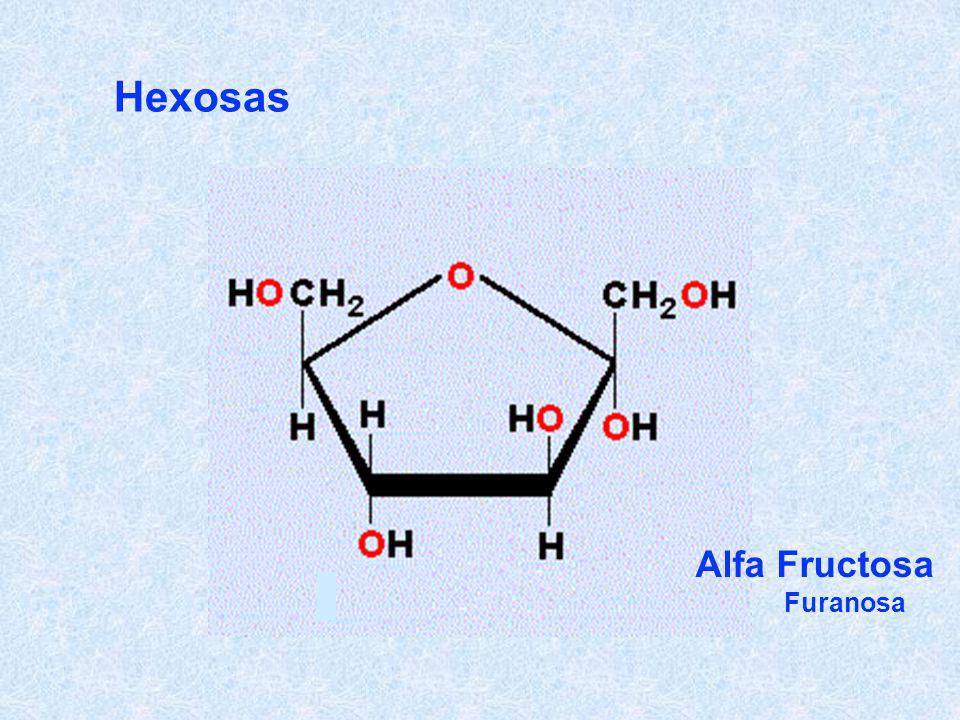 Hexosas Alfa Fructosa Furanosa