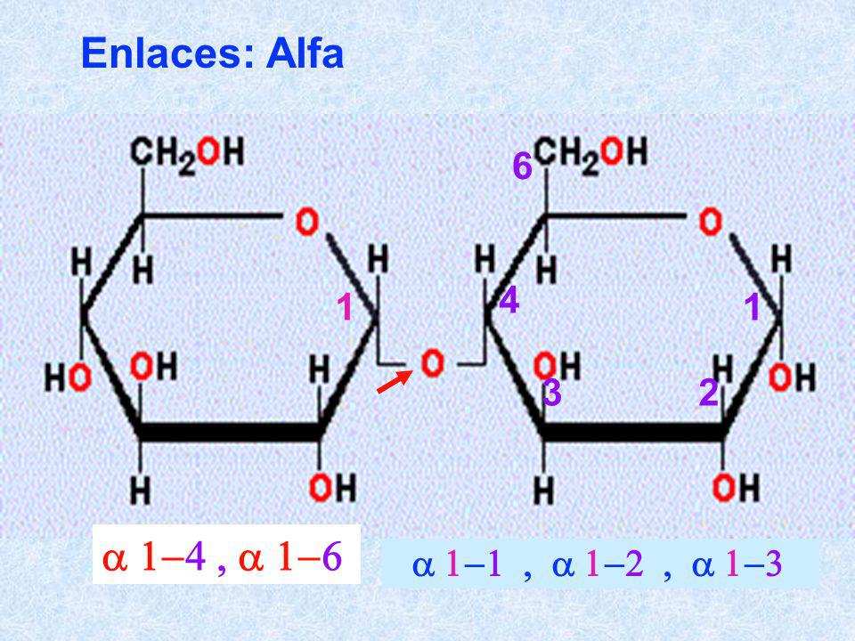 Enlaces: Alfa a 1-4 , a 1-6 a 1-1 , a 1-2 , a 1-3