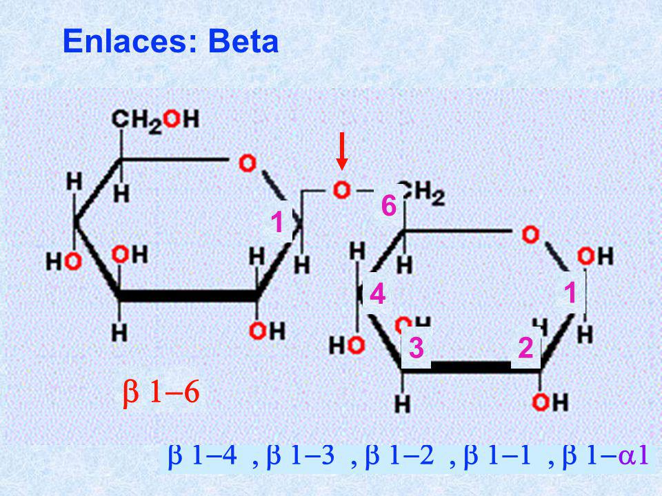 Enlaces: Beta b b 1-4 , b 1-3 , b 1-2 , b 1-1 , b 1-a1