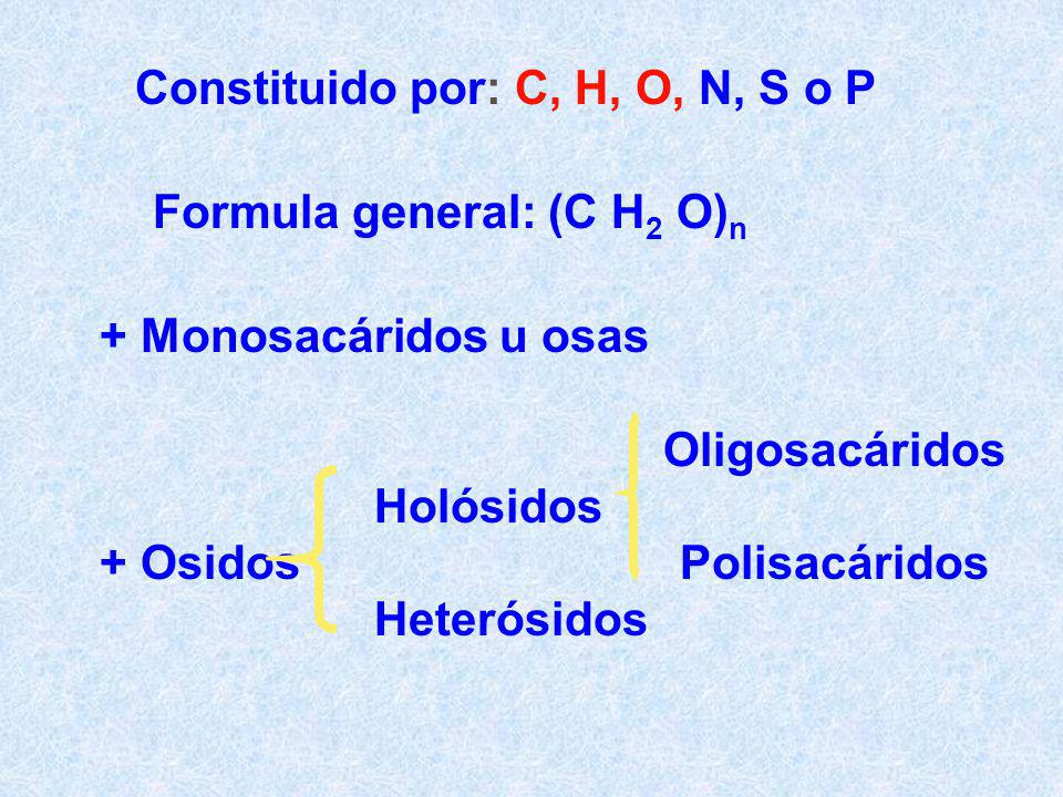 Constituido por: C, H, O, N, S o P