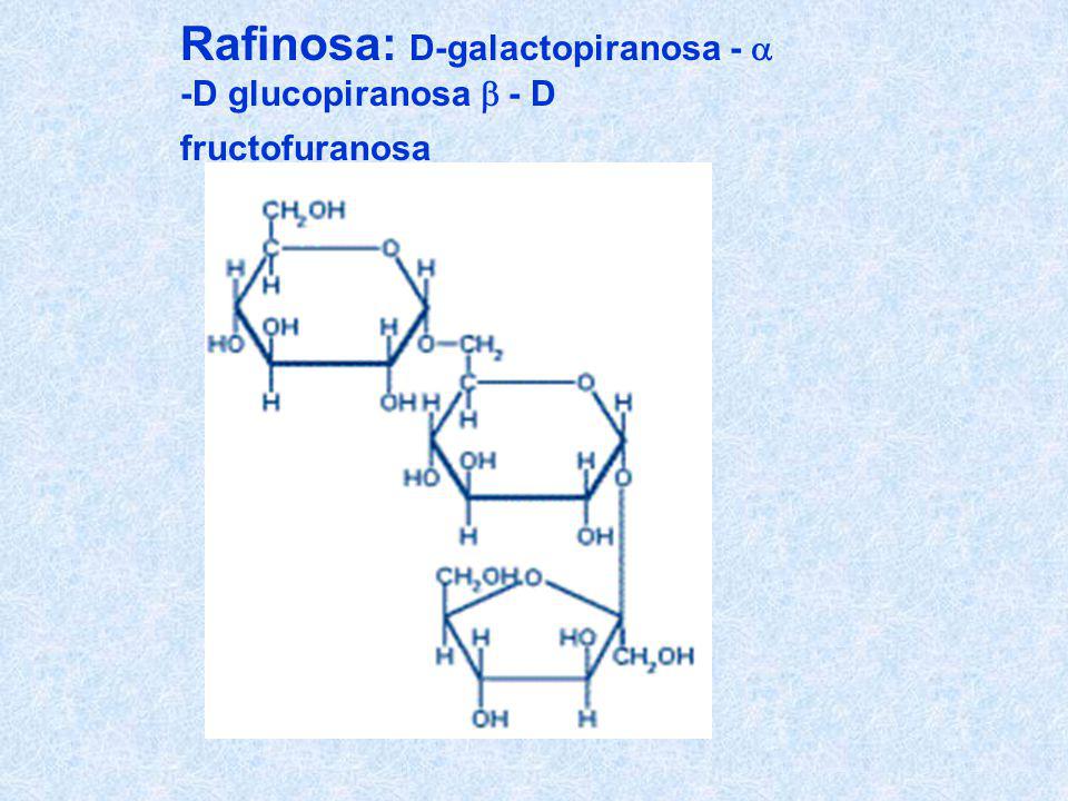 Rafinosa: D-galactopiranosa - a -D glucopiranosa b - D fructofuranosa
