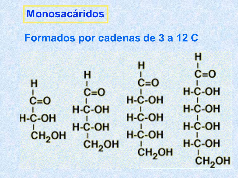 Monosacáridos Formados por cadenas de 3 a 12 C