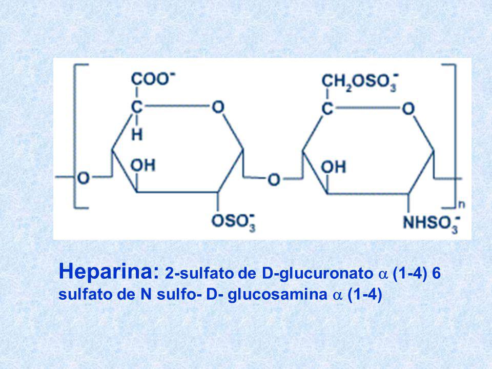 Heparina: 2-sulfato de D-glucuronato a (1-4) 6 sulfato de N sulfo- D- glucosamina a (1-4)