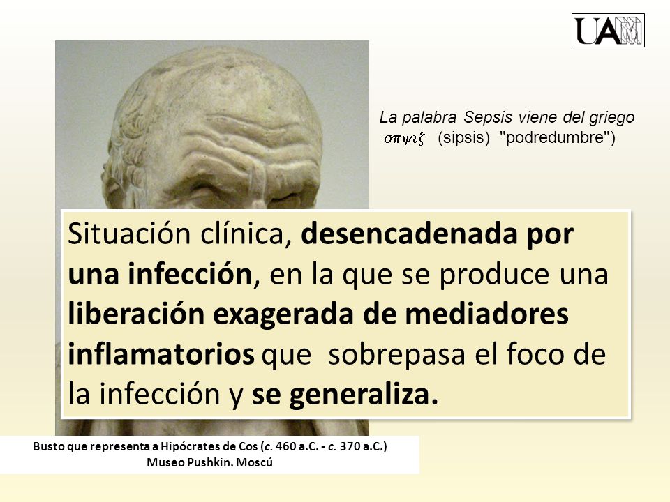Busto que representa a Hipócrates de Cos (c. 460 a. C. - c. 370 a. C