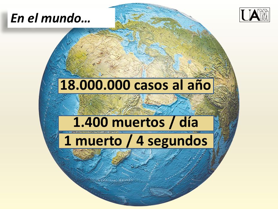 casos al año muertos / día 1 muerto / 4 segundos