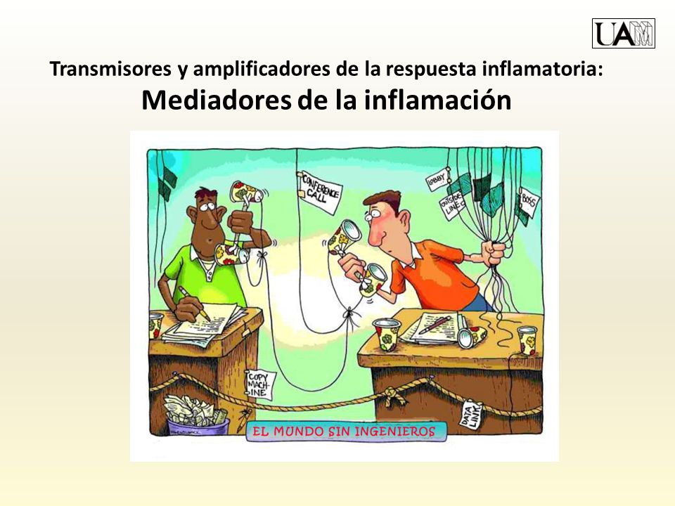 Transmisores y amplificadores de la respuesta inflamatoria: Mediadores de la inflamación