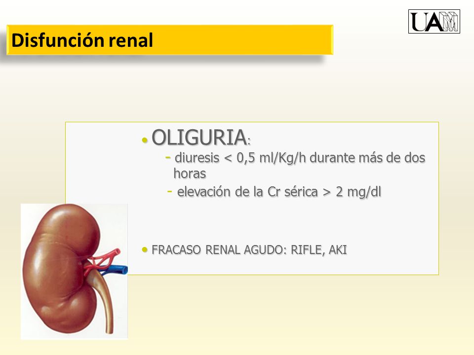 Disfunción renal diuresis < 0,5 ml/Kg/h durante más de dos horas
