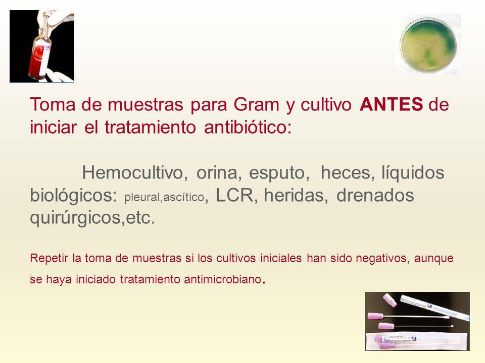 Toma de muestras para Gram y cultivo ANTES de iniciar el tratamiento antibiótico:
