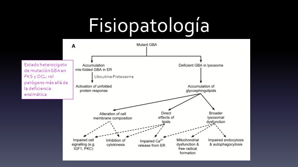 Fisiopatología Estado heterocigoto de mutación GBA en PKS y DCL: rol patógeno más allá de la deficiencia enzimática.