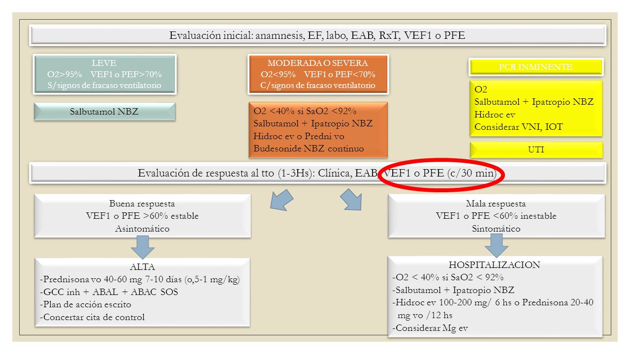 Evaluación inicial: anamnesis, EF, labo, EAB, RxT, VEF1 o PFE