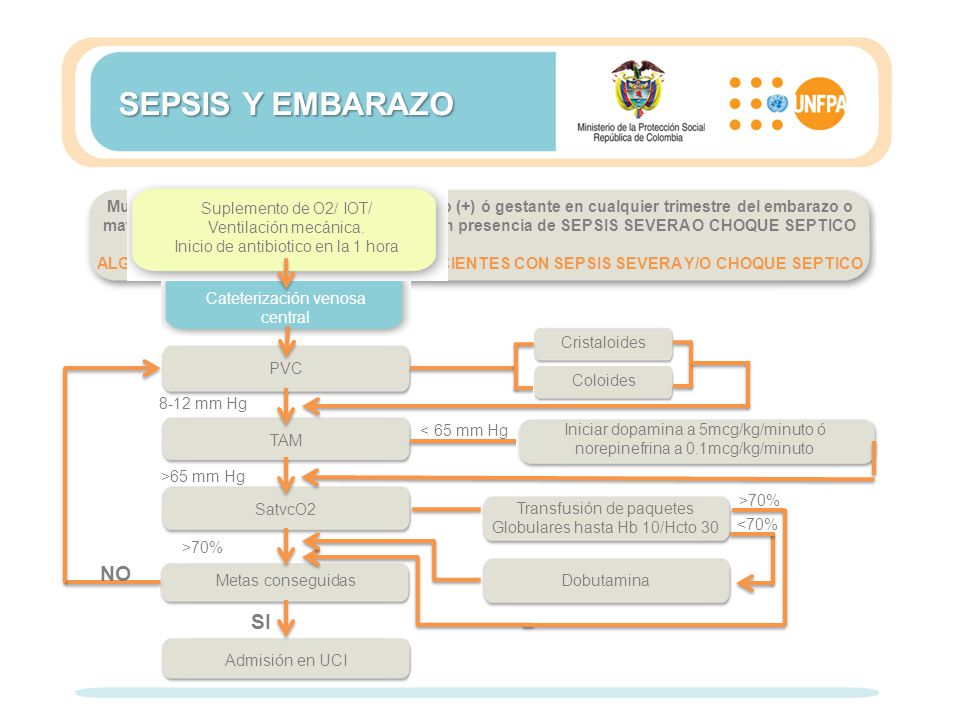 SEPSIS Y EMBARAZO NO SI >70% <70% Cristaloides PVC SatvcO2 TAM