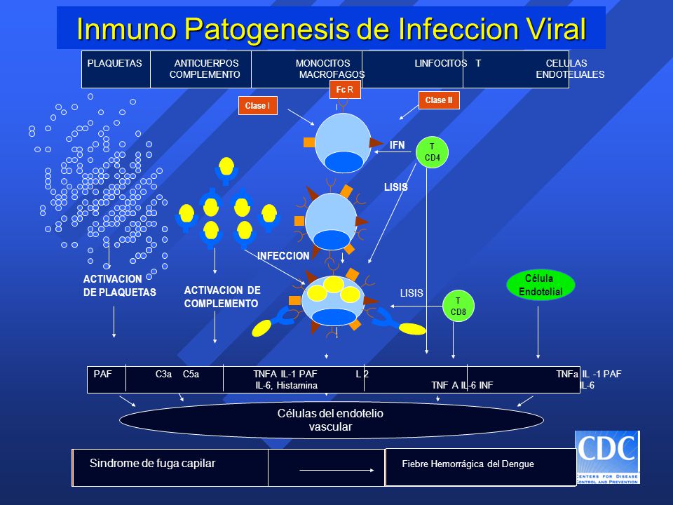 Inmuno Patogenesis de Infeccion Viral
