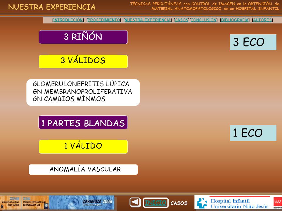 3 ECO 1 ECO 3 RIÑÓN 1 PARTES BLANDAS 3 VÁLIDOS 1 VÁLIDO