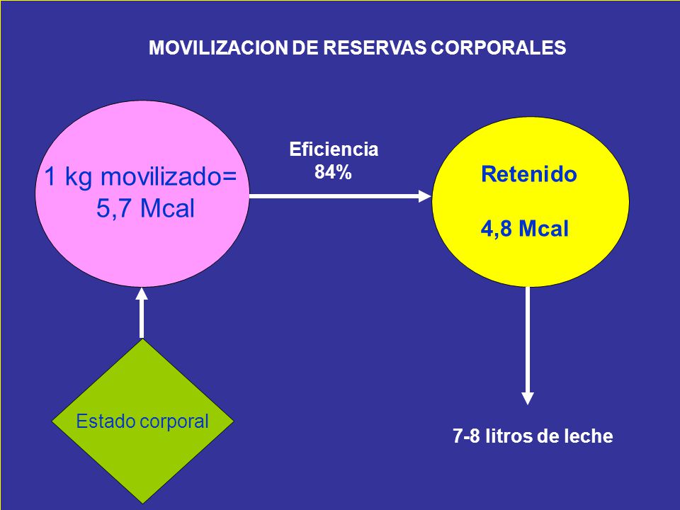 1 kg movilizado= 5,7 Mcal Retenido 4,8 Mcal