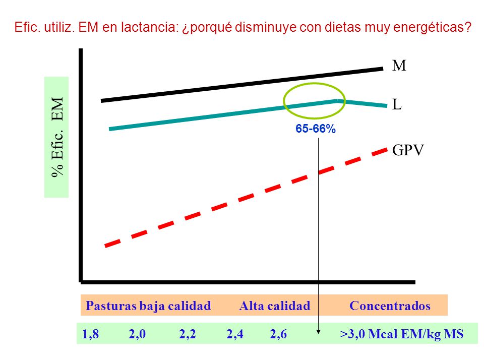 Efic. utiliz. EM en lactancia: ¿porqué disminuye con dietas muy energéticas