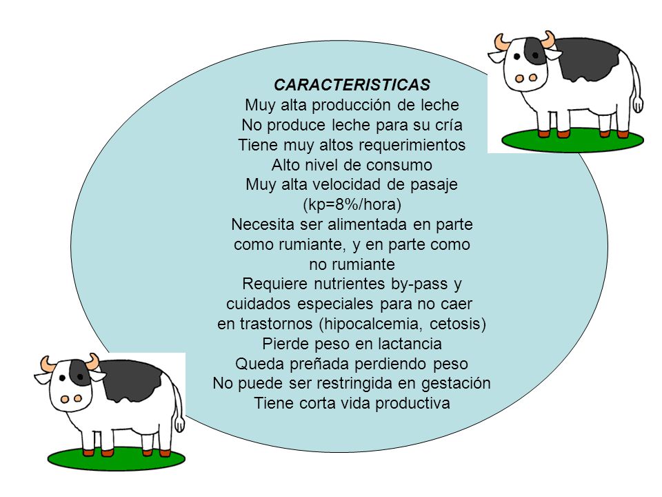 Muy alta producción de leche No produce leche para su cría