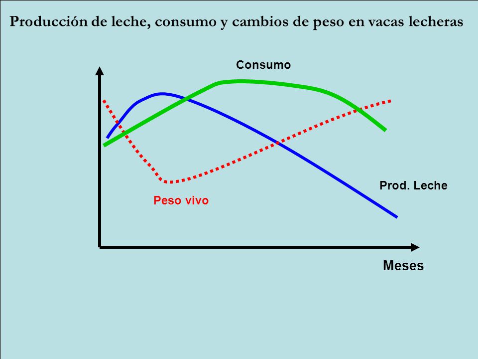 Producción de leche, consumo y cambios de peso en vacas lecheras