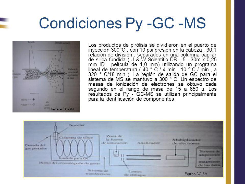 Condiciones Py -GC -MS