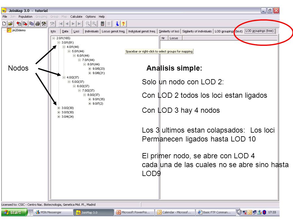Nodos Analisis simple: Solo un nodo con LOD 2: Con LOD 2 todos los loci estan ligados. Con LOD 3 hay 4 nodos.