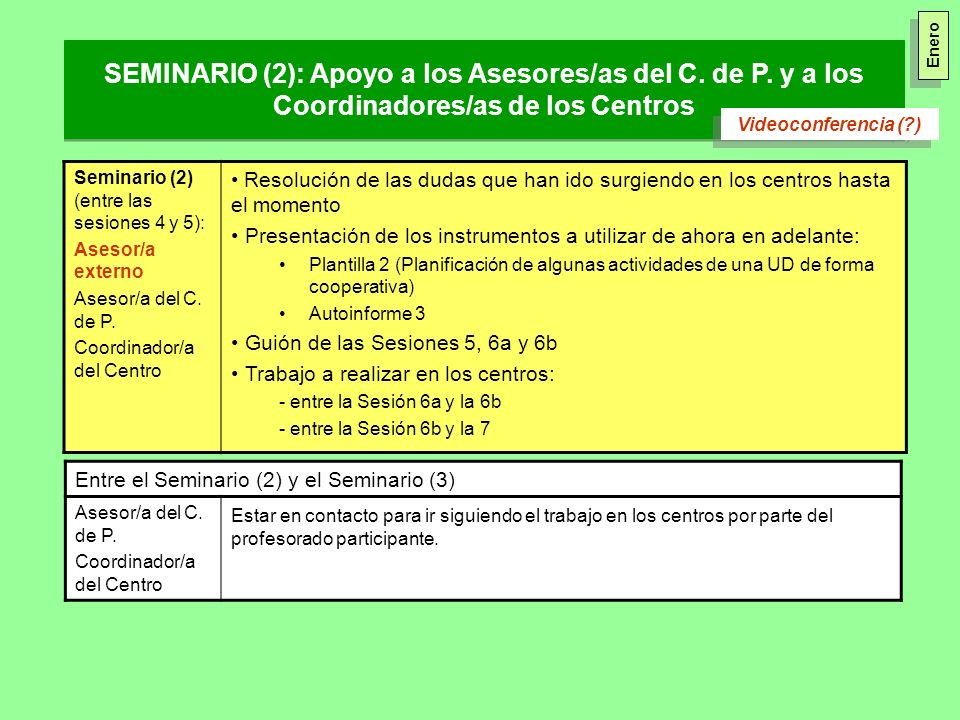 Enero SEMINARIO (2): Apoyo a los Asesores/as del C. de P. y a los Coordinadores/as de los Centros. Videoconferencia ( )