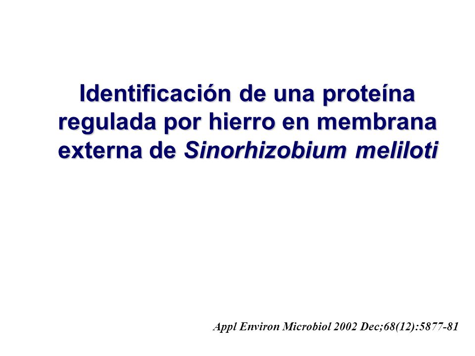 Identificación de una proteína regulada por hierro en membrana externa de Sinorhizobium meliloti