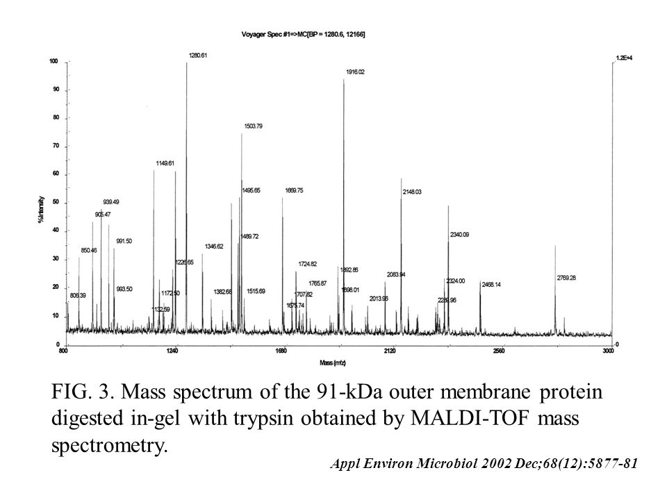 FIG. 3. Mass spectrum of the 91-kDa outer membrane protein digested in-gel with trypsin obtained by MALDI-TOF mass spectrometry.