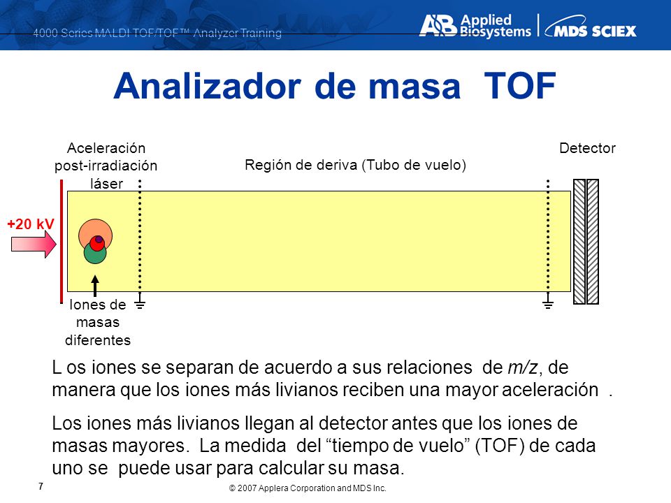 Analizador de masa TOF Aceleración post-irradiación láser. Detector. Región de deriva (Tubo de vuelo)