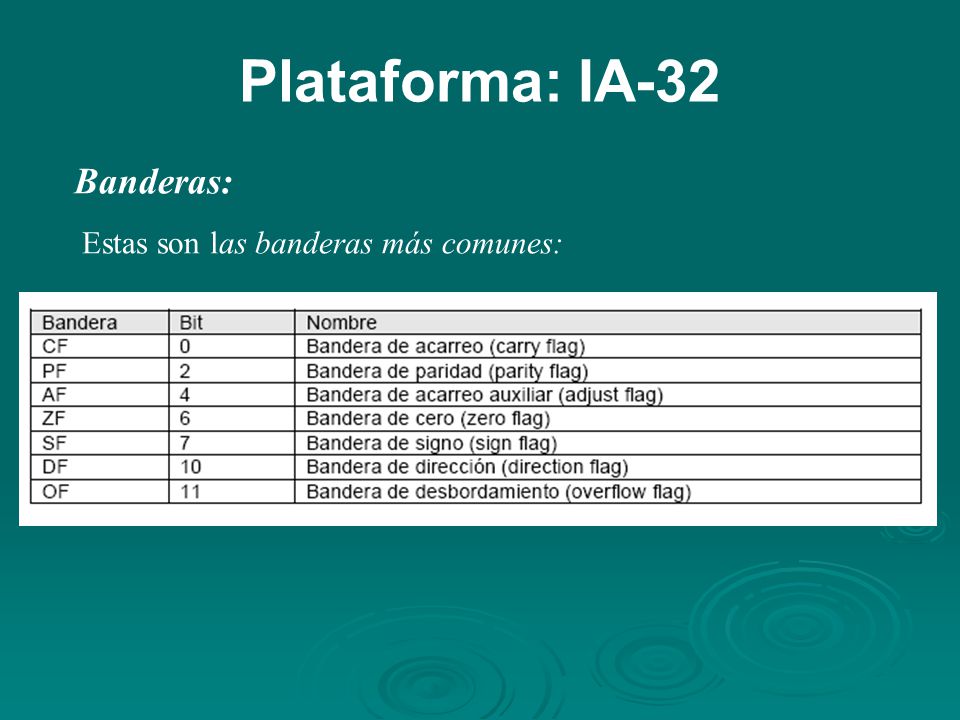 Plataforma: IA-32 Banderas: Estas son las banderas más comunes: