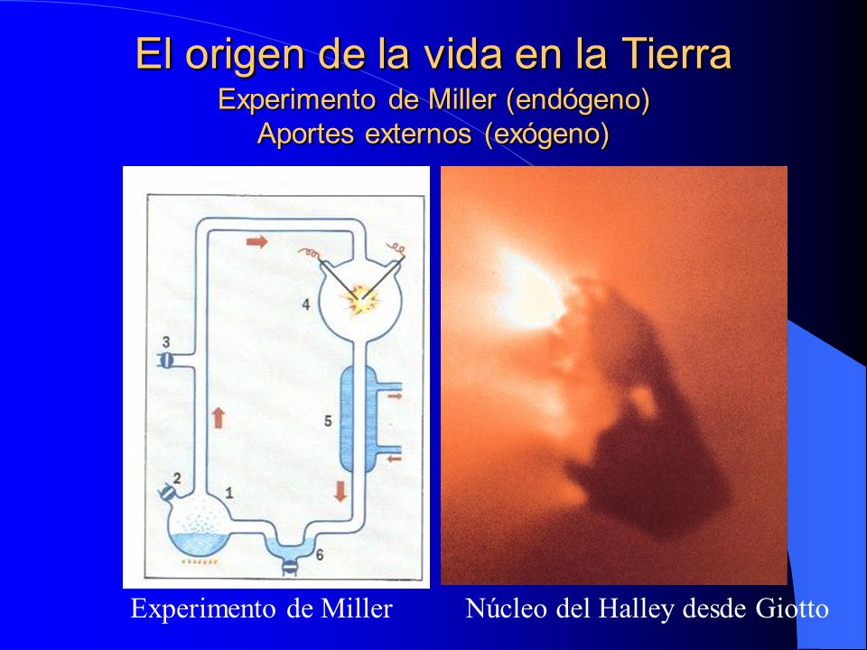 El origen de la vida en la Tierra Experimento de Miller (endógeno) Aportes externos (exógeno)