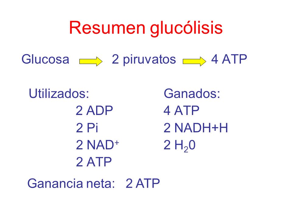Resumen glucólisis Glucosa 2 piruvatos 4 ATP Utilizados: Ganados: