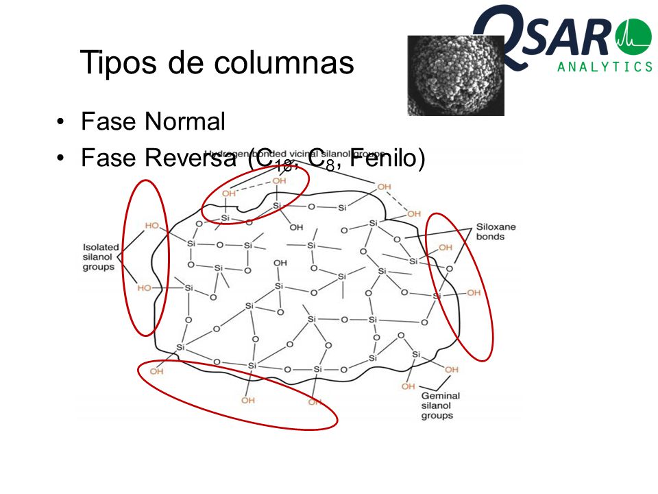 Tipos de columnas Fase Normal Fase Reversa (C18, C8, Fenilo)