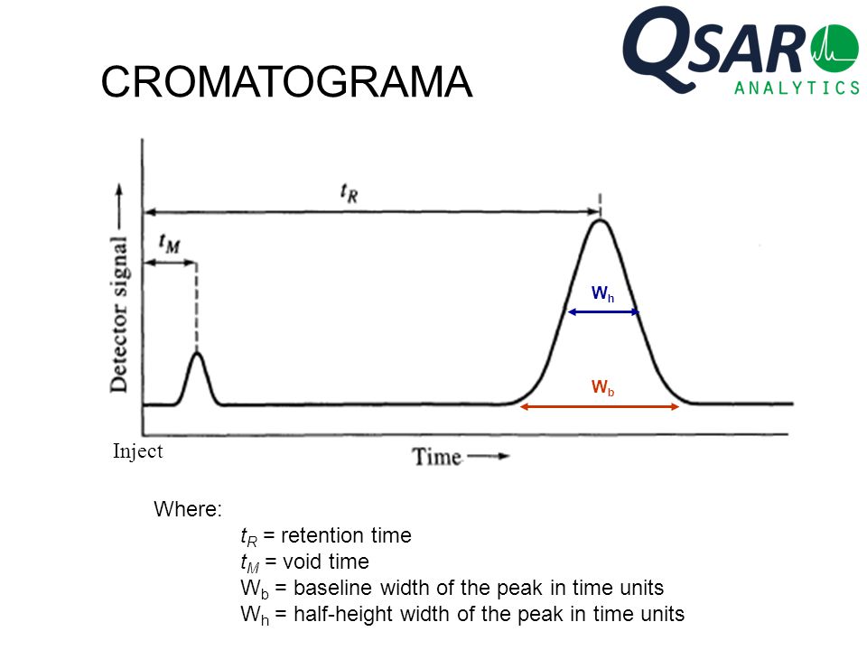 CROMATOGRAMA Inject Where: tR = retention time tM = void time