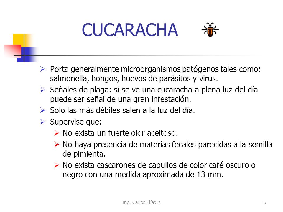 CUCARACHA Porta generalmente microorganismos patógenos tales como: salmonella, hongos, huevos de parásitos y virus.