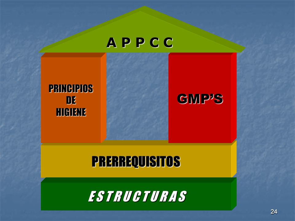 A P P C C GMP’S PRERREQUISITOS E S T R U C T U R A S PRINCIPIOS DE