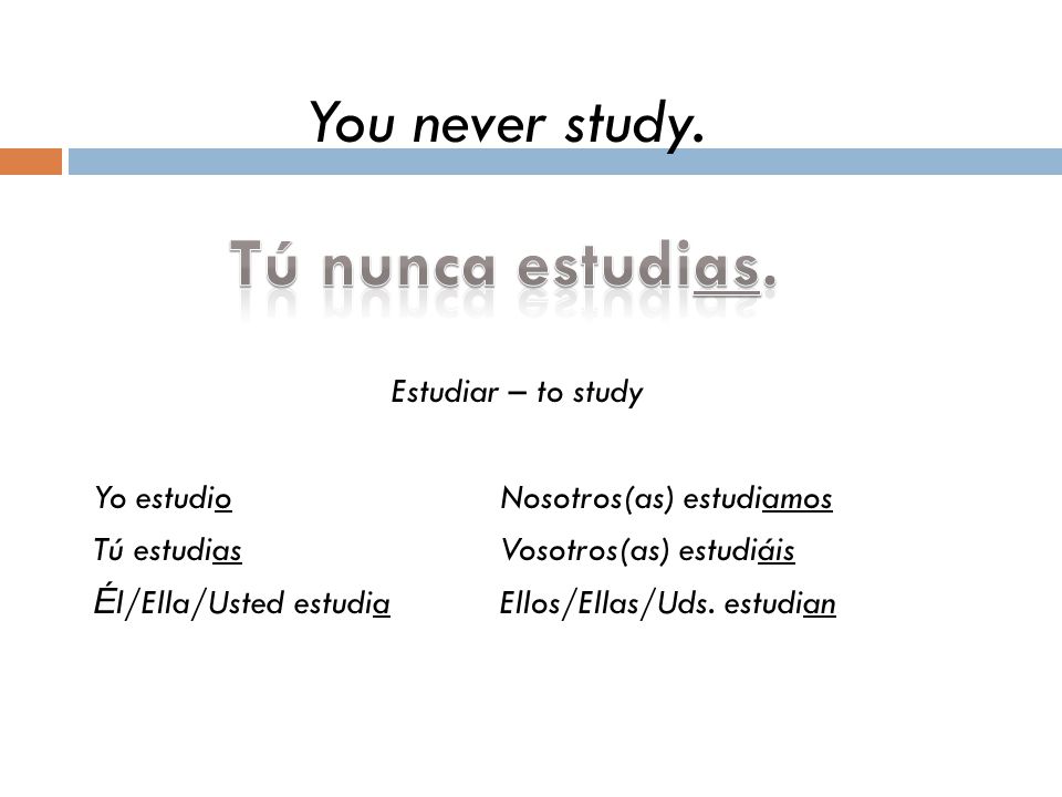 Tú nunca estudias. You never study. Estudiar – to study