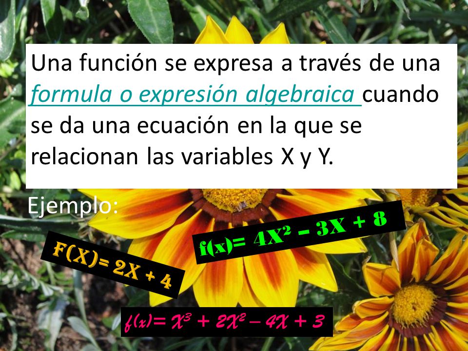 Una función se expresa a través de una formula o expresión algebraica cuando se da una ecuación en la que se relacionan las variables X y Y.