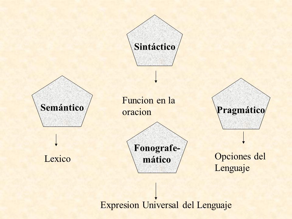 Sintáctico Semántico. Pragmático. Funcion en la oracion. Fonografe- mático. Opciones del Lenguaje.