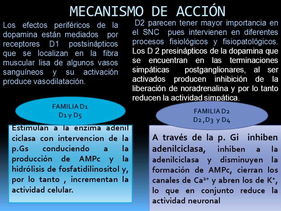 MECANISMO DE ACCIÓN