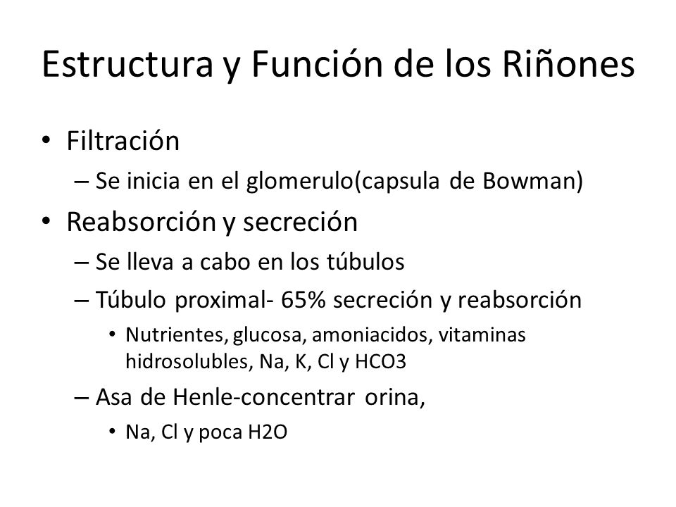 Estructura y Función de los Riñones