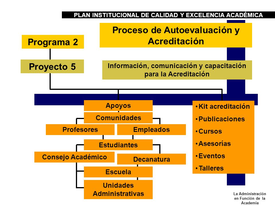 PLAN INSTITUCIONAL DE CALIDAD Y EXCELENCIA ACADÉMICA